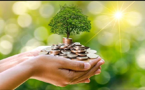 Image of plant growing among coins in a hand